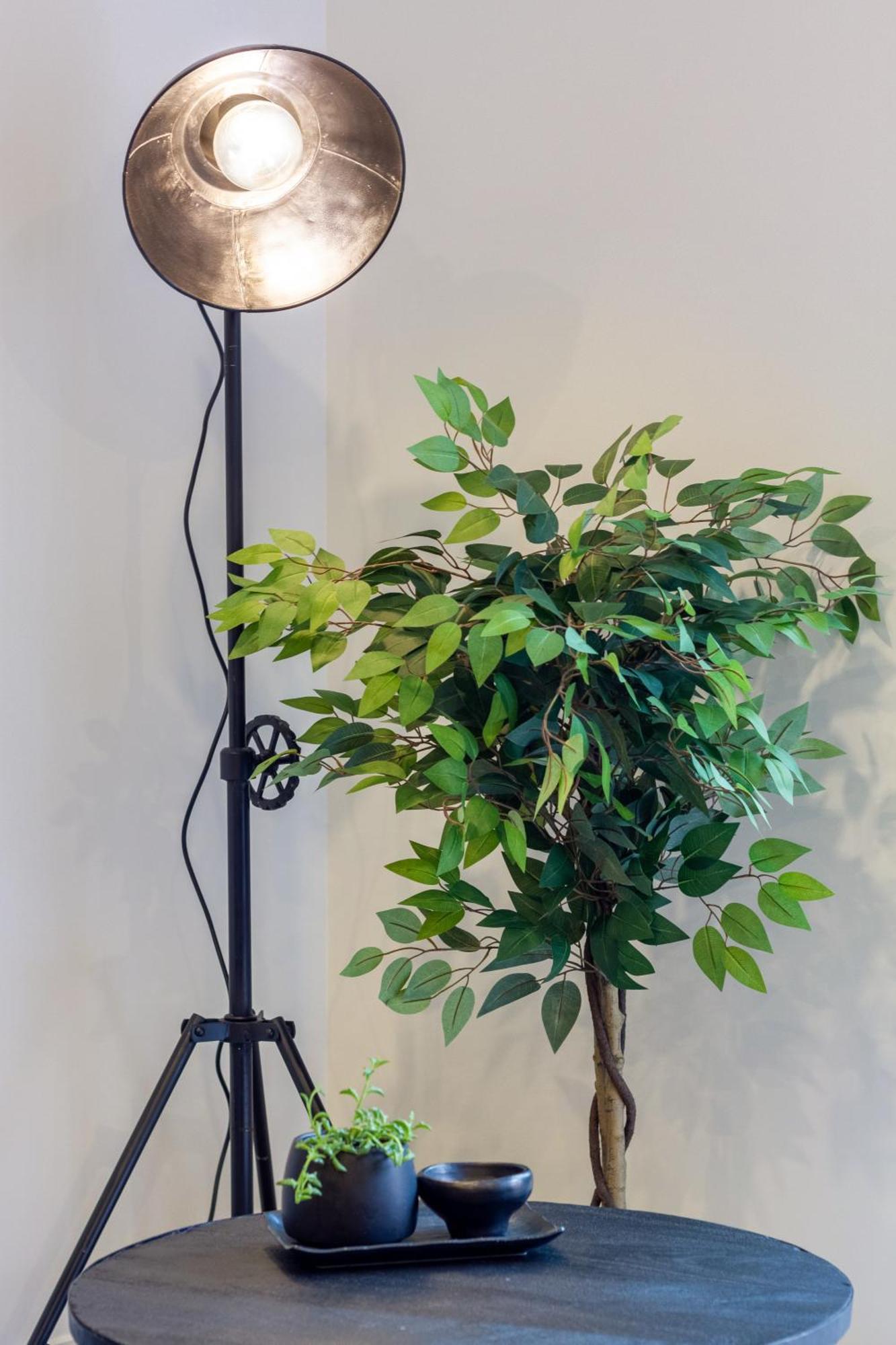 Merivale Gem: 2Br Townhouse Oasis Christchurch Ngoại thất bức ảnh